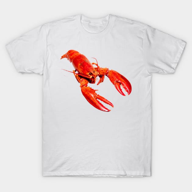 Lobster T-Shirt by MysticTimeline